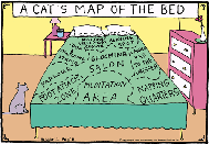 Cats Map of the Bed Cats Map of the Bed